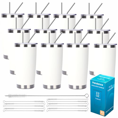 20oz Stainless Steel Insulated Tumblers Bulk (12 Count)