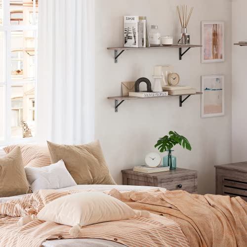 Long Wall Shelves (2 Count)