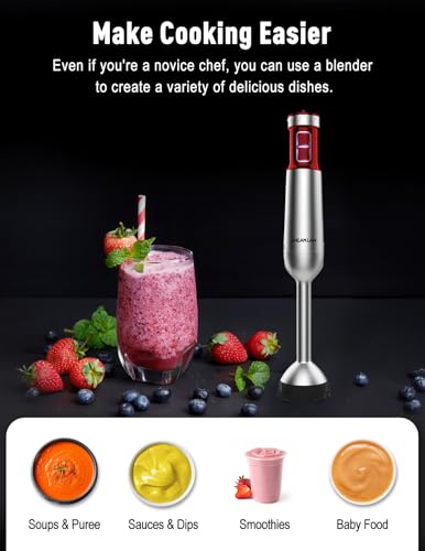 Powerful Immersion Blender handheld