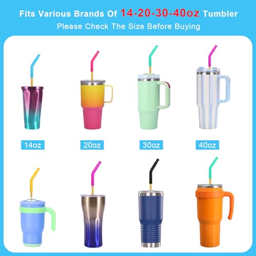 Newly Upgraded 8.5In Reusable Stainless Steel Straws Set 6 PCS with12 Silicone Accessories (6 Count)