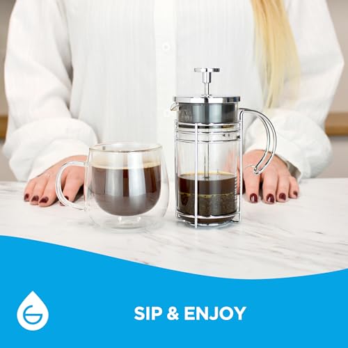 Madrid Glass French Press Coffee and Tea Maker