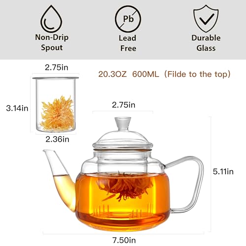 Glass Teapot with Removable Infuser
