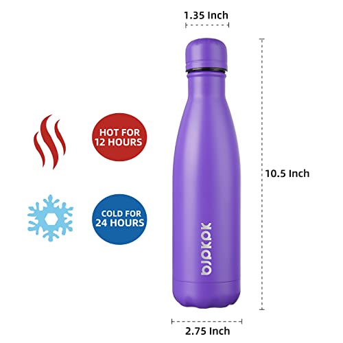 17 oz Insulated Water Bottle