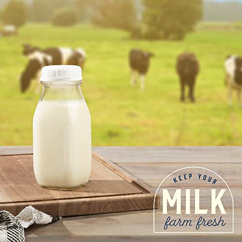 Glass Creamer Bottle 12 Oz Square Glass Milk Bottle with Lids