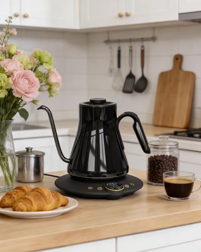 Gooseneck Electric Kettle