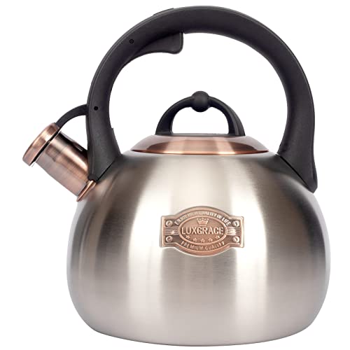 3.1 Quart Teal Whistling Tea Kettle for Stove Top