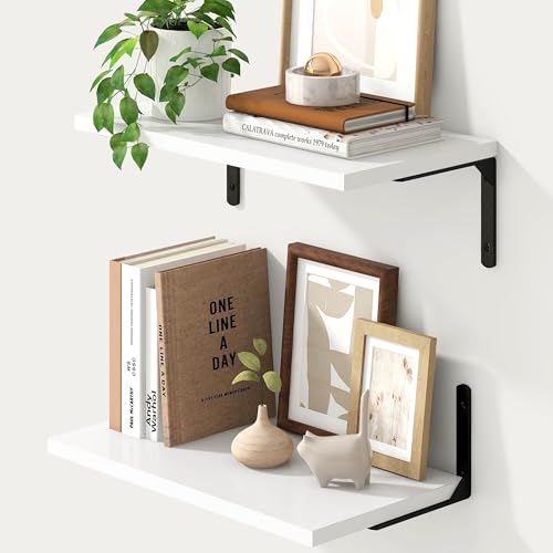 Deep Floating Shelves (2 Count)