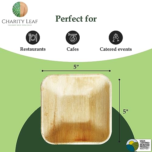 Disposable Bamboo 5" Square Bowl