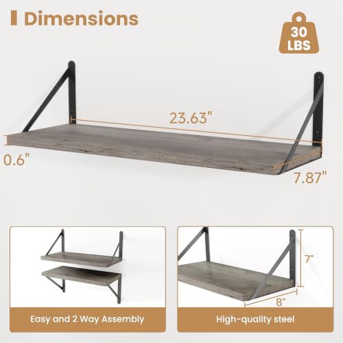 Floating Book Shelves for Wall (3 Count)
