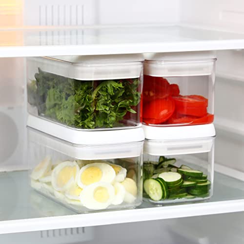 Flip Tite Food Storage Container with Lid 4” RECTANGLE Airtight Ring Flip Lock Top (3 Count)
