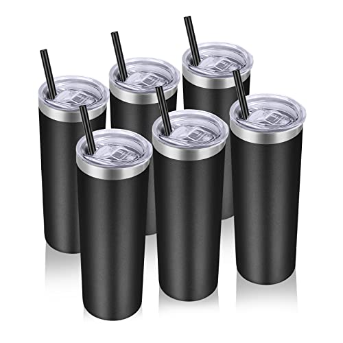 Stainless Steel Tumblers Bulk 6 Pack (6 Count)
