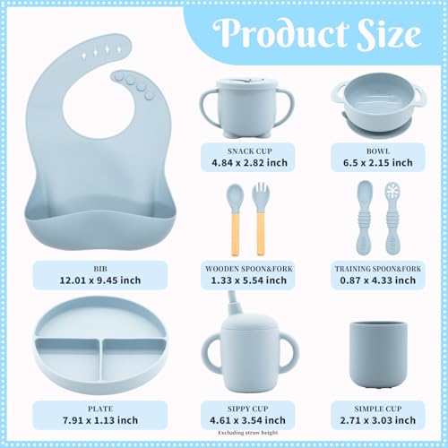Silicone Baby Feeding Set 10 Pcs (10 Count)