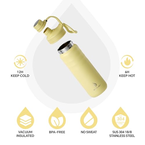 24oz Stainless Insulated Bottle with 2 Leak