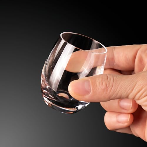 Shot Glasses Set of 2 (2 Count)