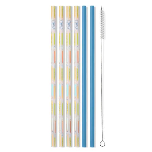 Reusable Straw Set with Cleaning Brush (6 Count)