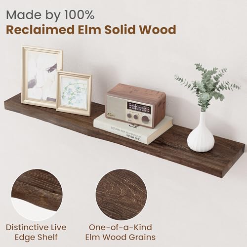 Floating Shelves for Wall Decor (2 Shelves)