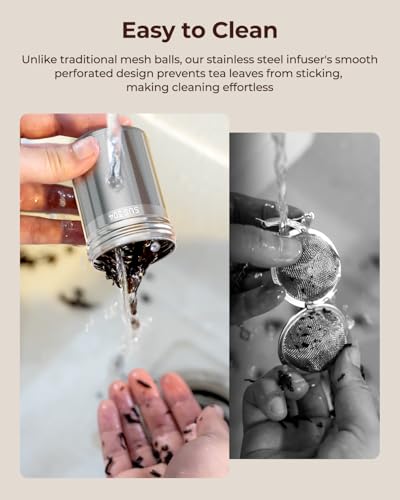 2 Pack Reinmoson Large Tea Infuser for Loose Tea & Spice Ball for Cooking (2 Count)