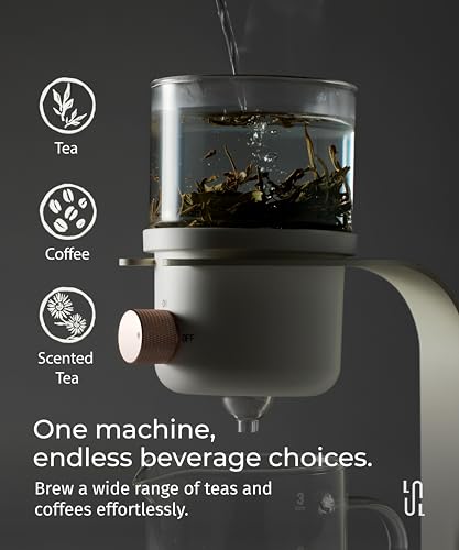 Glass Tea Pot with Infusers for Loose Tea and Drip Coffee Pour Over