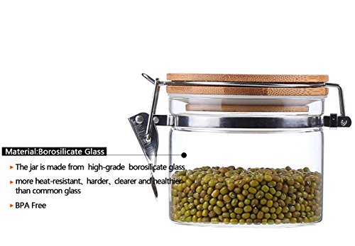 Clear Borosilicate Glass Storage Jars with Airtight Locking Clamp Lids (2 Count)