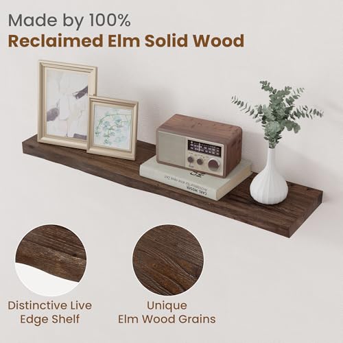 Floating Shelves for Wall Decor (2 Count)