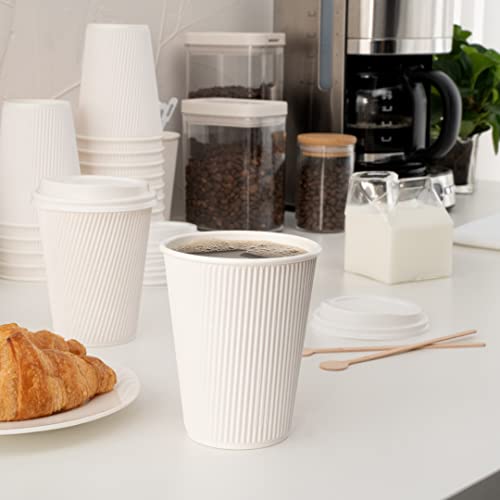 12 Ounce Disposable Cups