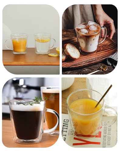 12oz Double Wall Glass Coffee Mugs (6 Count)