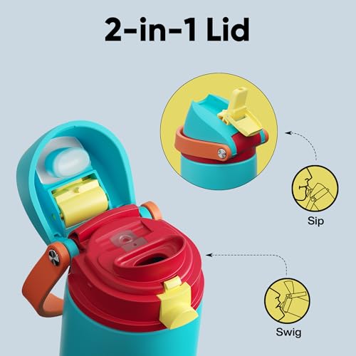 Insulated Water Bottle with Straw