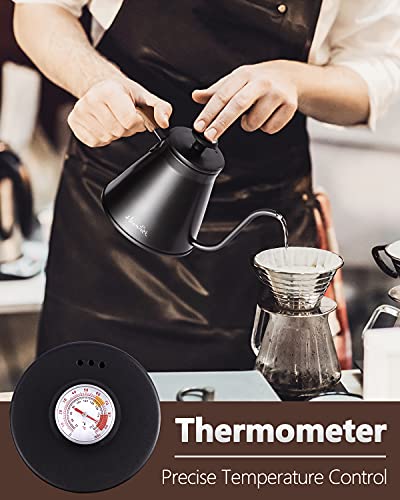 Gooseneck Kettle with Thermometer for Pour Over Coffee and Tea