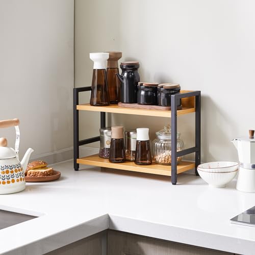 2 Tier Spice Rack