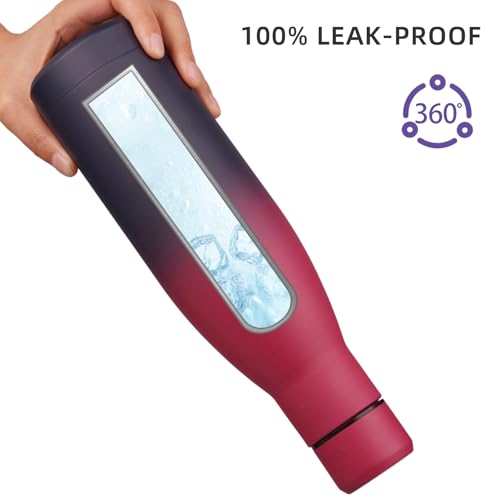 25 oz Insulated Stainless Steel Water Bottle