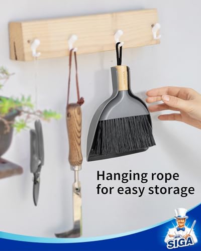 Mini Dustpan and Brush Set