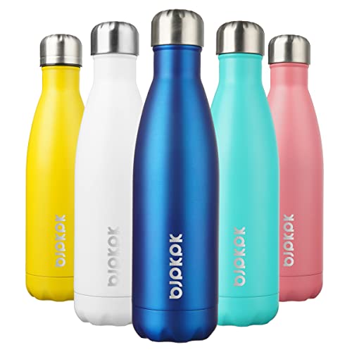 17 oz Insulated Water Bottle