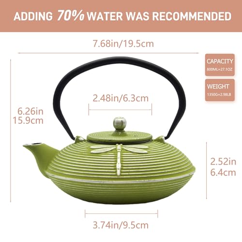Cast Iron Teapot
