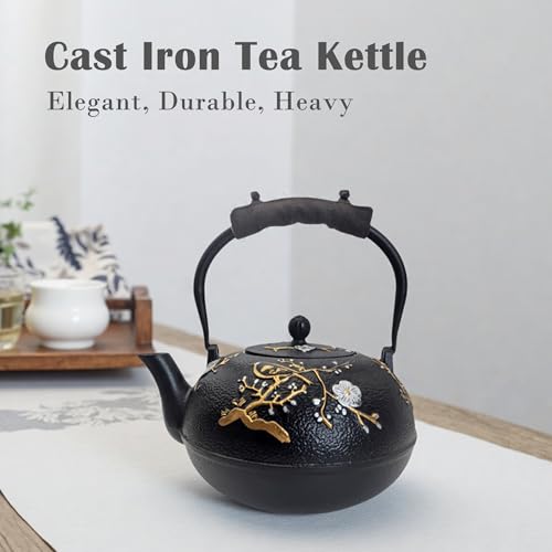 Cast Iron Teapot SECHUDO Teapot for Stovetop Safe Coated with Enameled Interior