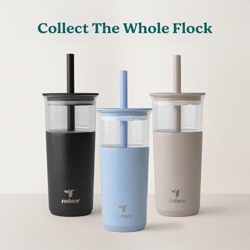 Aspen 20oz Vacuum Insulated Glass Tumbler