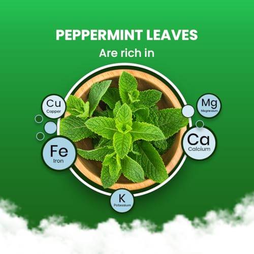 Peppermint Tea (100 Count)