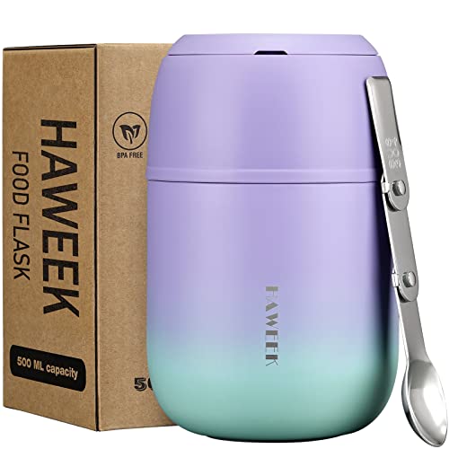 17oz Insulated Food Jar with Spoon