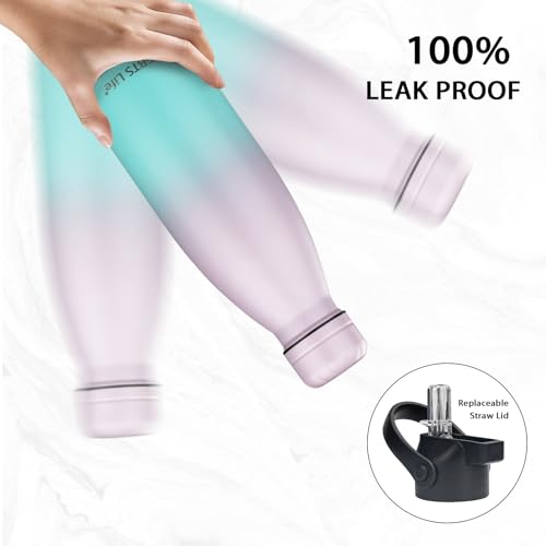Insulated Water Bottle