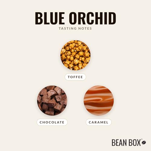 Blue Orchid Roasted by Huckleberry Roasters (32 Ounce)