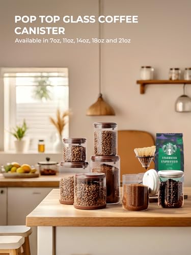 2 Pack Large Airtight Coffee Canisters with CO2 Valve (2 Count)
