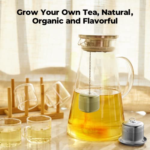 2 Pack 304 Stainless Steel Tea Infuser for Loose Leaf Tea (2 Count)