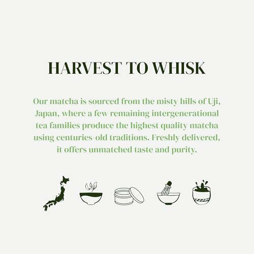 Dr. Weil Matcha Kari Organic Matcha Sticks (6 Count)