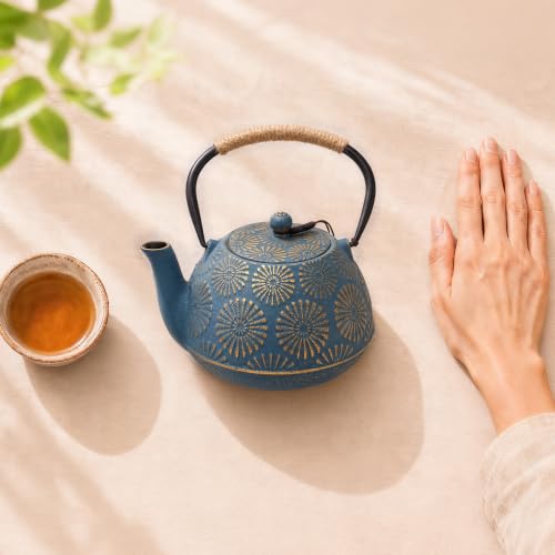 Cast Iron Teapot