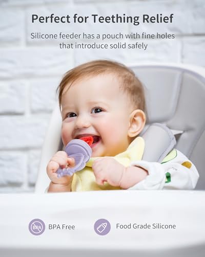 Silicone Baby Fruit Food Feeder