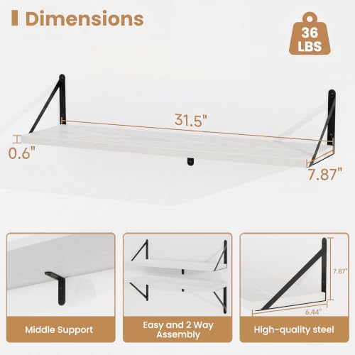 Floating Book Shelves for Wall (3 Count)