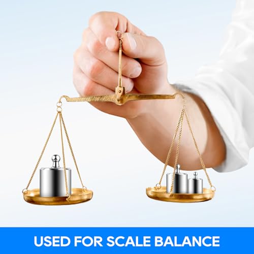 Calibration Weight Set 1000g for Digital Scale