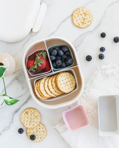 Reusable Silicone Bento Baking Cups (24 Count)
