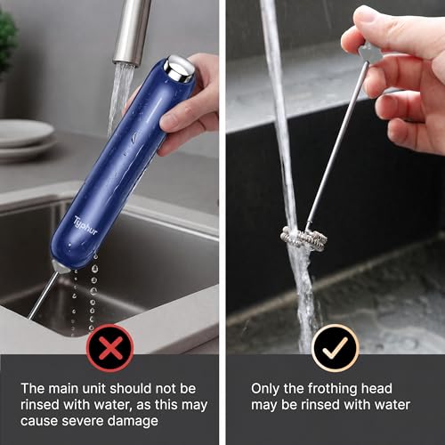 InstaWhisk Milk Frother with Variable Speed