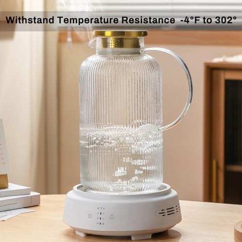 2 PACK Glass Pitcher with Lid