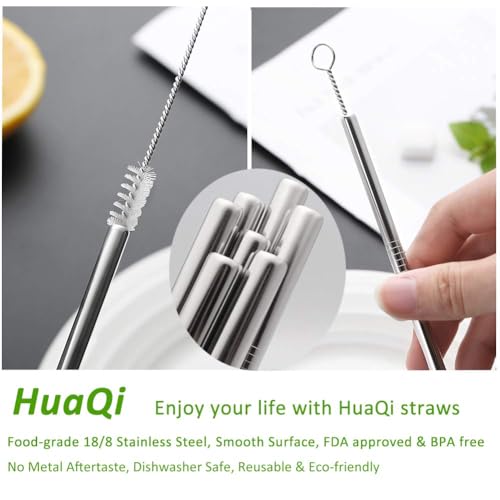 Set of 10 Stainless Steel Straws (10 Count)